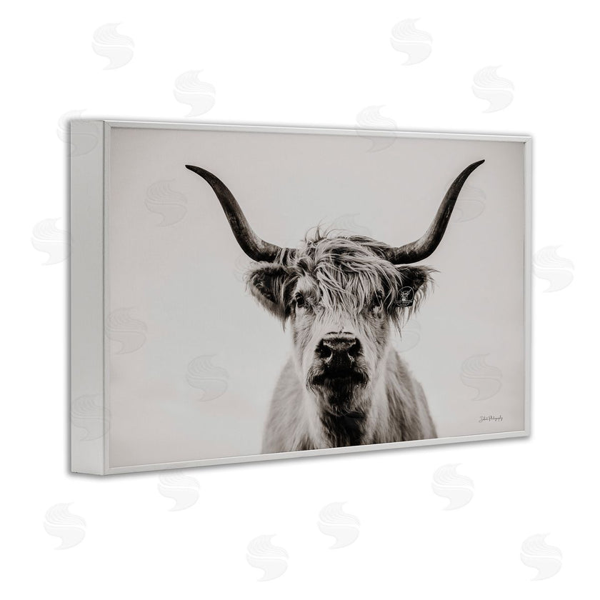 Dakota Diener | Calm Cattle Portrait