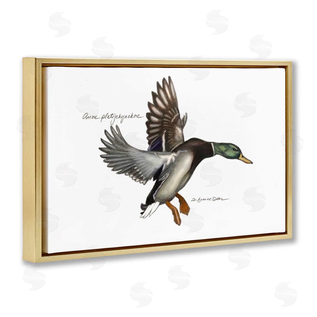 Flying Mallard Duck Gold Floating Frame Canvas Wall Art, Home Decor by Jadei Graphics