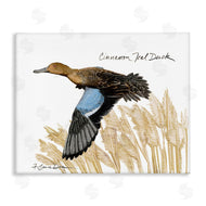 Jadei Graphics | Cinnamon Teal Duck Flying