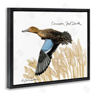 Jadei Graphics | Cinnamon Teal Duck Flying