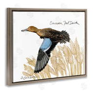 Jadei Graphics | Cinnamon Teal Duck Flying