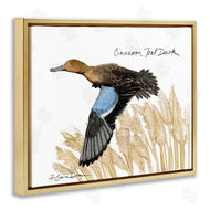 Jadei Graphics | Cinnamon Teal Duck Flying