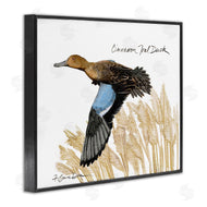 Jadei Graphics | Cinnamon Teal Duck Flying
