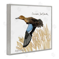 Jadei Graphics | Cinnamon Teal Duck Flying
