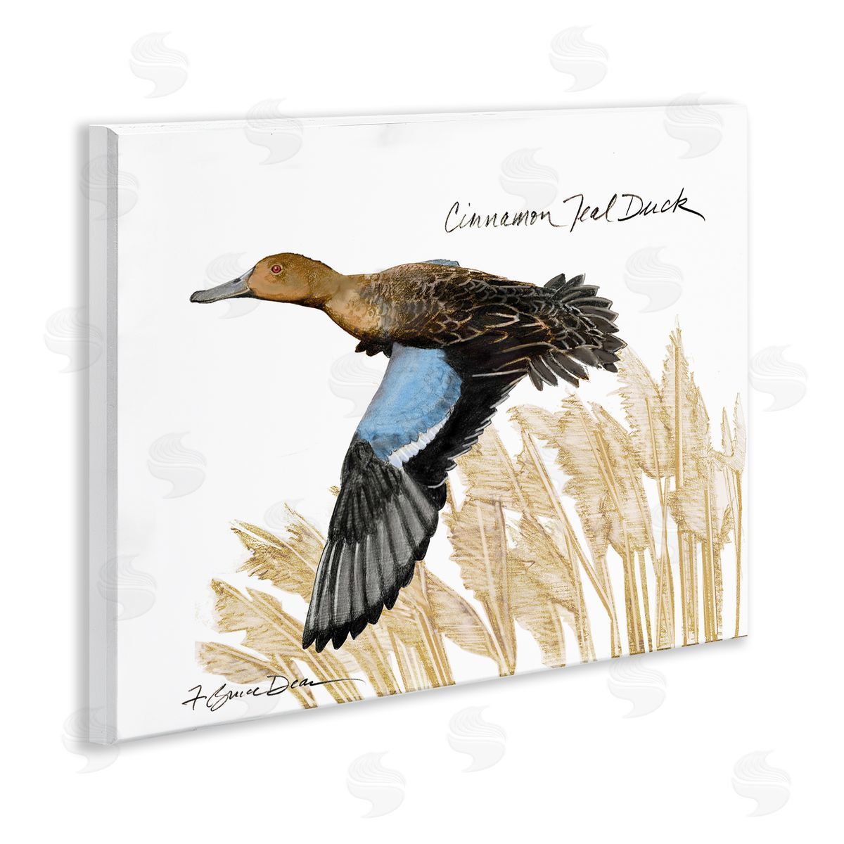 Cinnamon Teal Duck Flying Wood Plaque Wall Art, Home Decor by Jadei Graphics