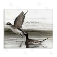 Jadei Graphics | Long Tailed Duck