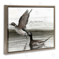 Jadei Graphics | Long Tailed Duck