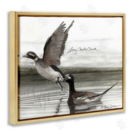 Jadei Graphics | Long Tailed Duck