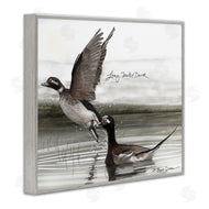 Jadei Graphics | Long Tailed Duck