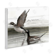 Jadei Graphics | Long Tailed Duck