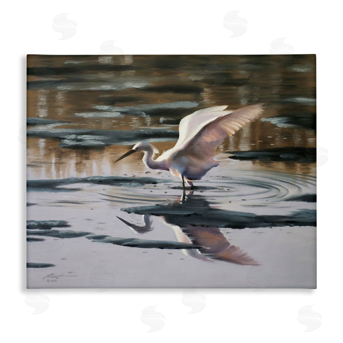 Swan Landing in Water Canvas Wall Art, Home Decor by D. Rust