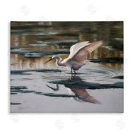 D. Rust | Swan Landing in Water