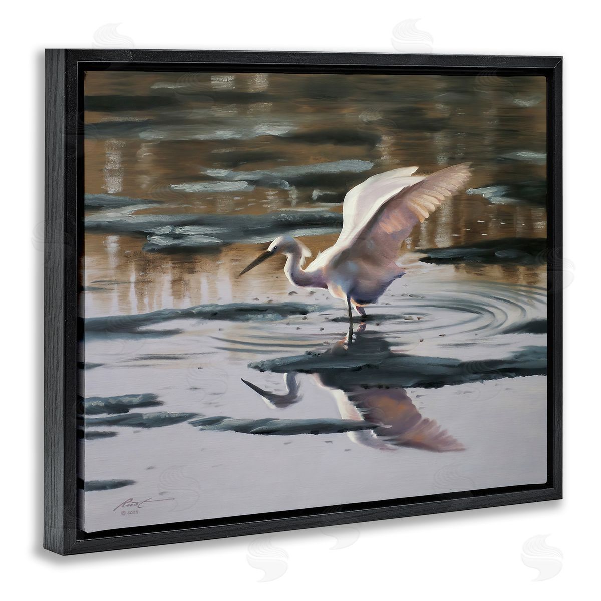 Swan Landing in Water Black Floating Frame Canvas Wall Art, Home Decor by D. Rust