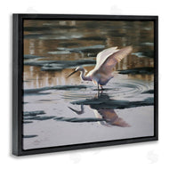 D. Rust | Swan Landing in Water