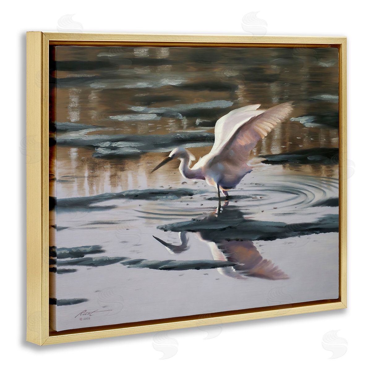 Swan Landing in Water Gold Floating Frame Canvas Wall Art, Home Decor by D. Rust