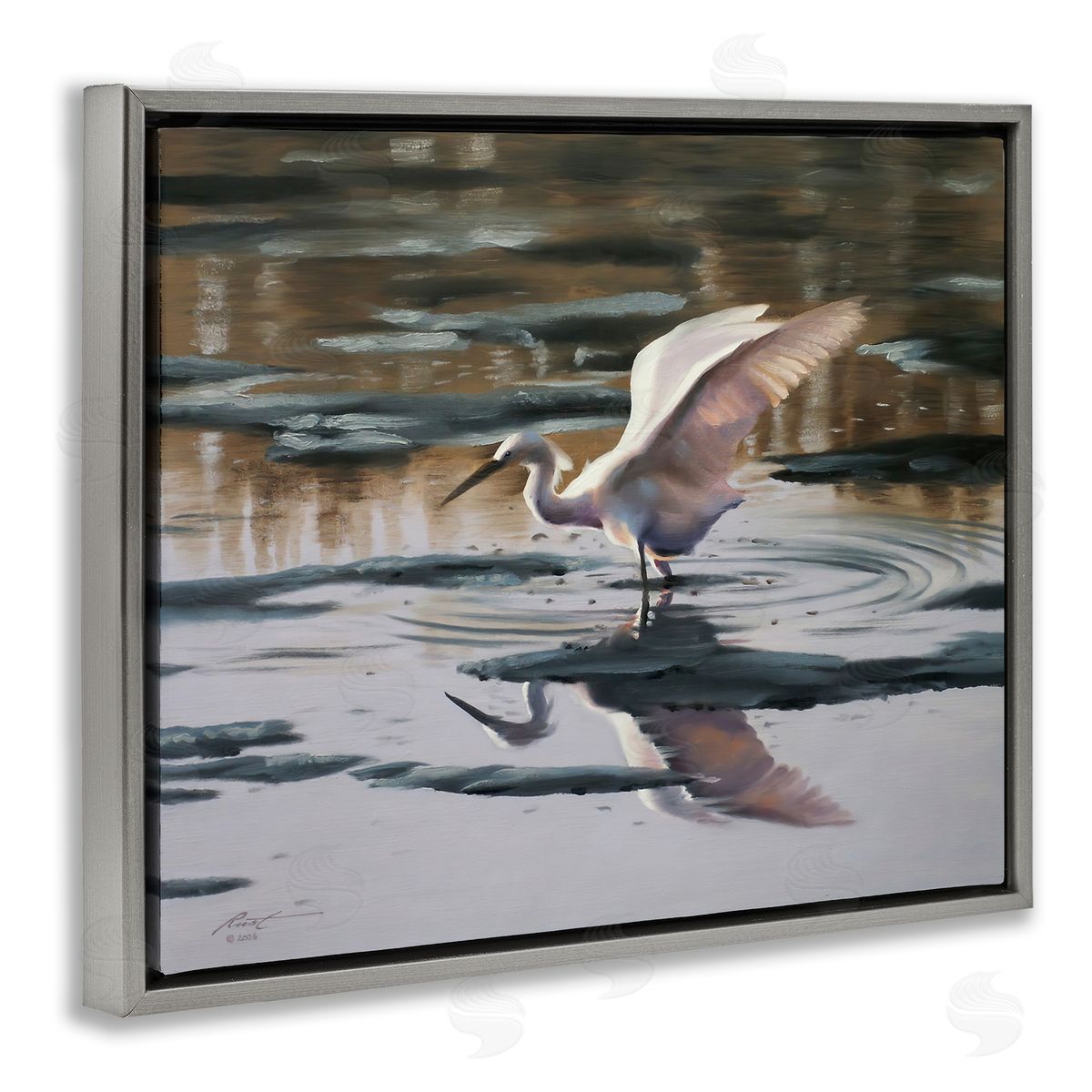 Swan Landing in Water Grey Floating Frame Canvas Wall Art, Home Decor by D. Rust