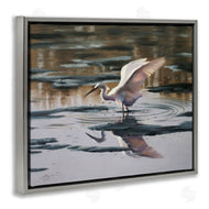 D. Rust | Swan Landing in Water