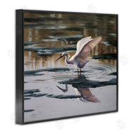 D. Rust | Swan Landing in Water