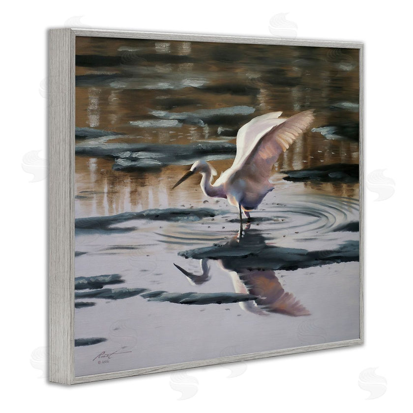 D. Rust | Swan Landing in Water