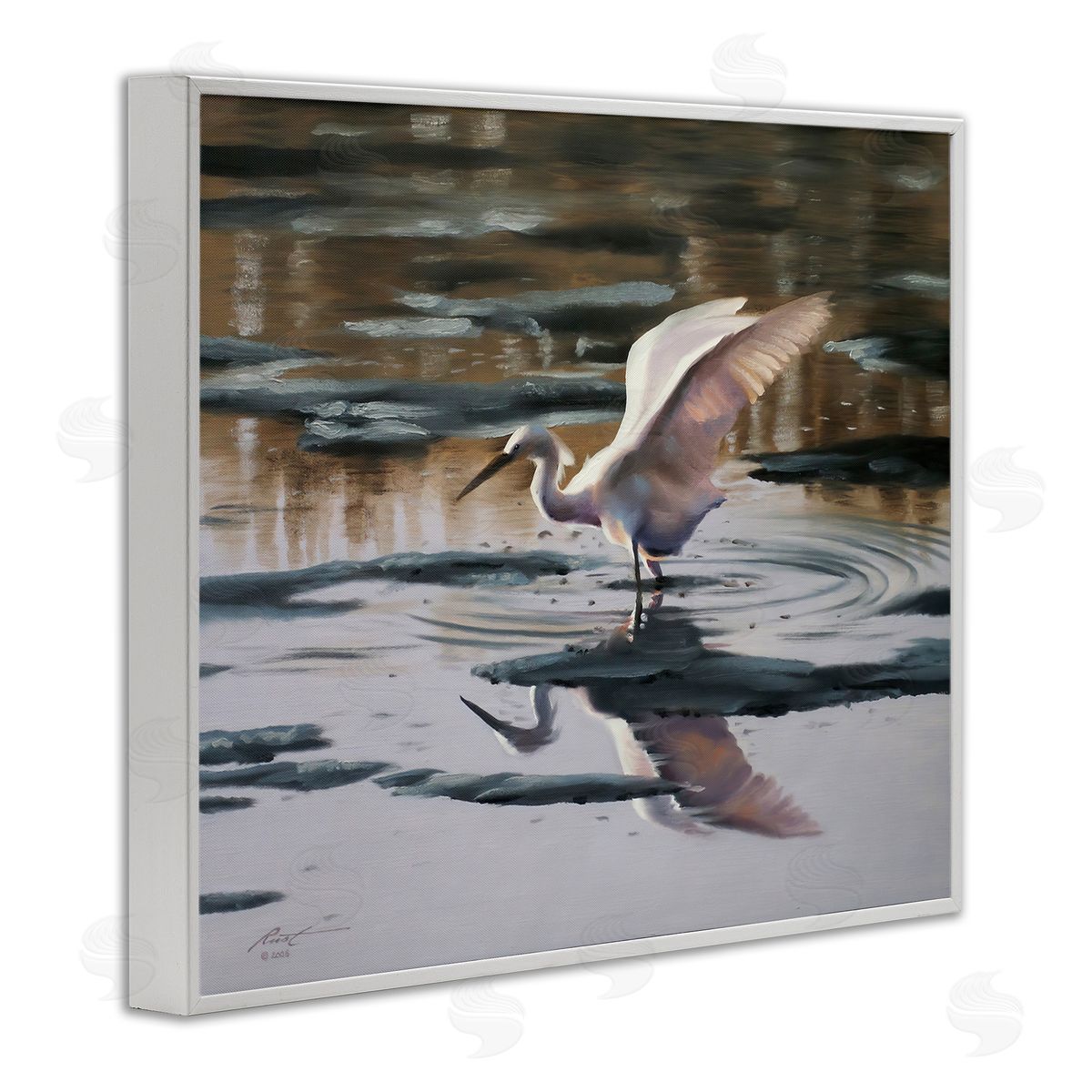 Swan Landing in Water White Frame Print Wall Art, Home Decor by D. Rust
