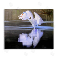 D. Rust | Egret with Water Ripples