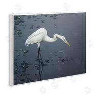 D. Rust | Graceful Egret in Lake