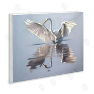 D. Rust | Egret with Beautiful Wingspan