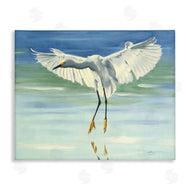 D. Rust | Snowy Egret on Beach