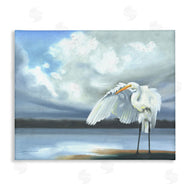 D. Rust | Egret on Cloudy Beach Shore