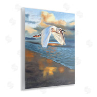 D. Rust | Egret Wingspan over Beach