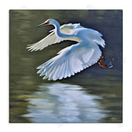D. Rust | Egret Flying Lake Surface