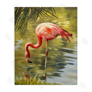 D. Rust | Flamingo Shallow Pond
