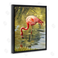 D. Rust | Flamingo Shallow Pond