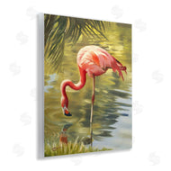 D. Rust | Flamingo Shallow Pond