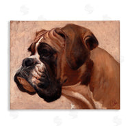Thomas Fluharty | Boxer Dog Neutral Portrait
