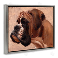 Thomas Fluharty | Boxer Dog Neutral Portrait