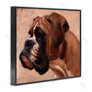 Thomas Fluharty | Boxer Dog Neutral Portrait