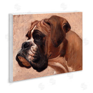 Thomas Fluharty | Boxer Dog Neutral Portrait