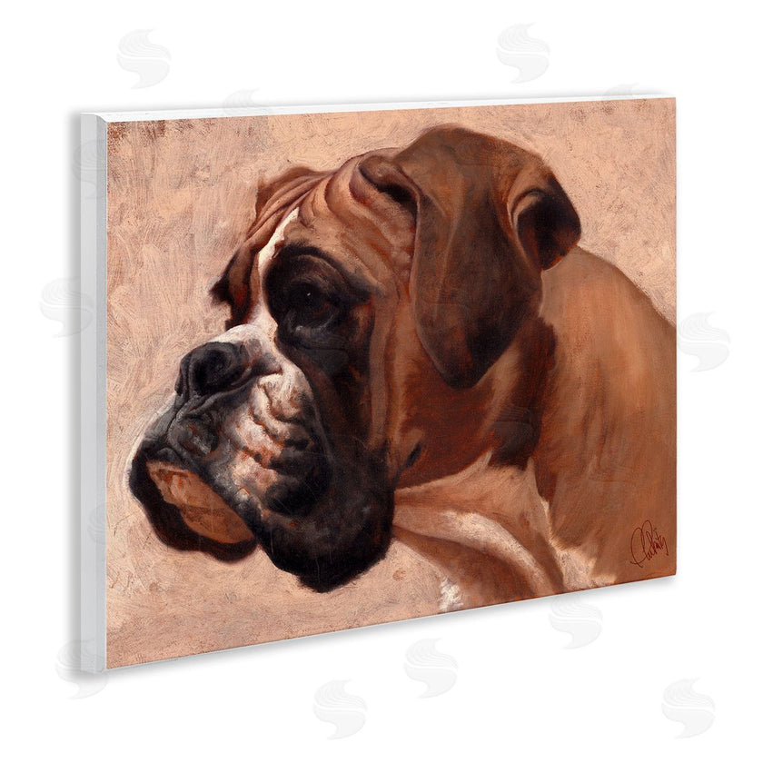 Thomas Fluharty | Boxer Dog Neutral Portrait