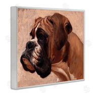 Thomas Fluharty | Boxer Dog Neutral Portrait