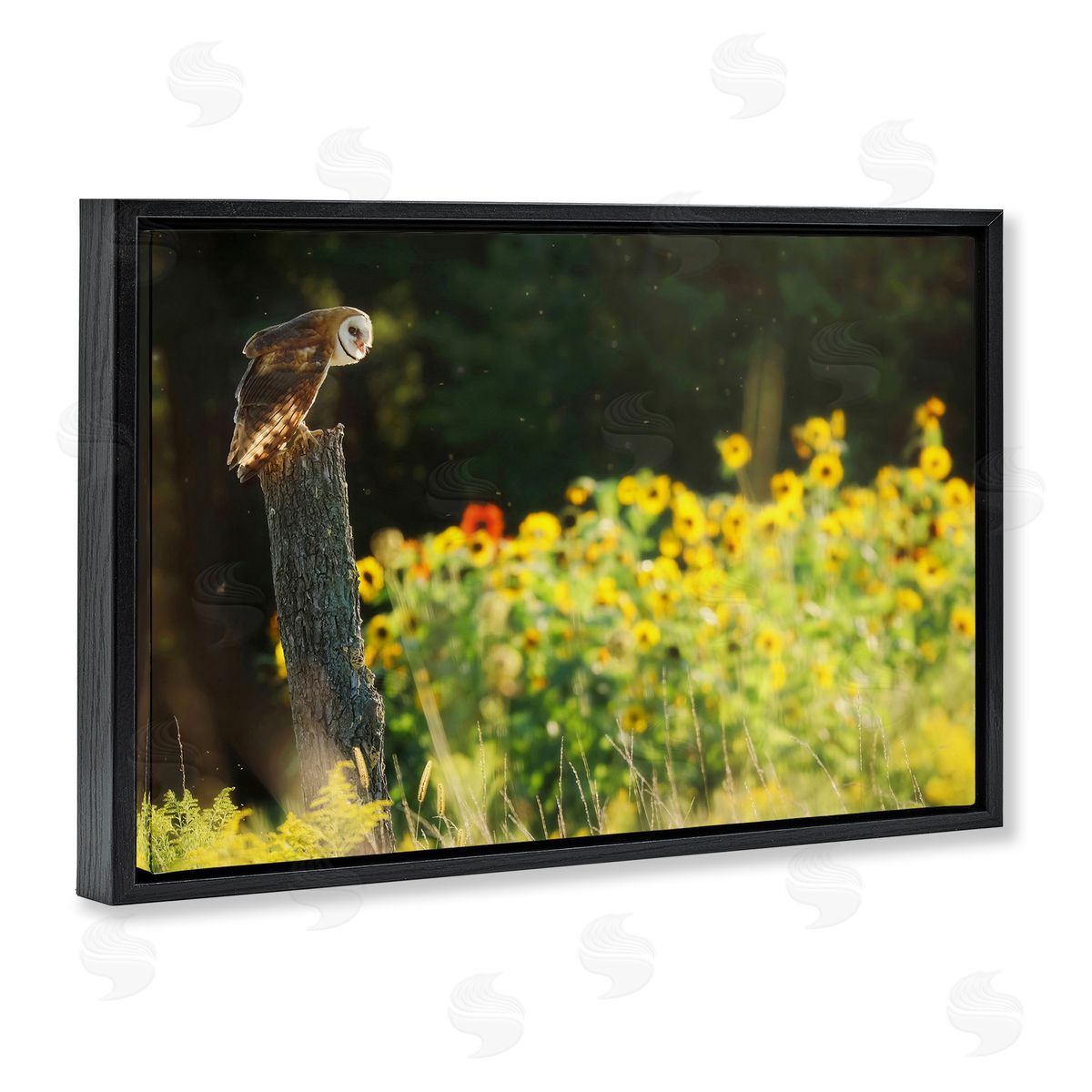 Owl Perched in Meadow Black Floating Frame Canvas Wall Art, Home Decor by Carrie Ann Grippo-Pike