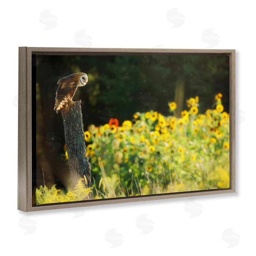 Carrie Ann Grippo-Pike | Owl Perched in Meadow