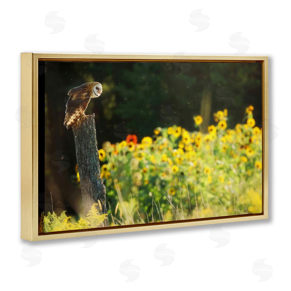 Owl Perched in Meadow Gold Floating Frame Canvas Wall Art, Home Decor by Carrie Ann Grippo-Pike
