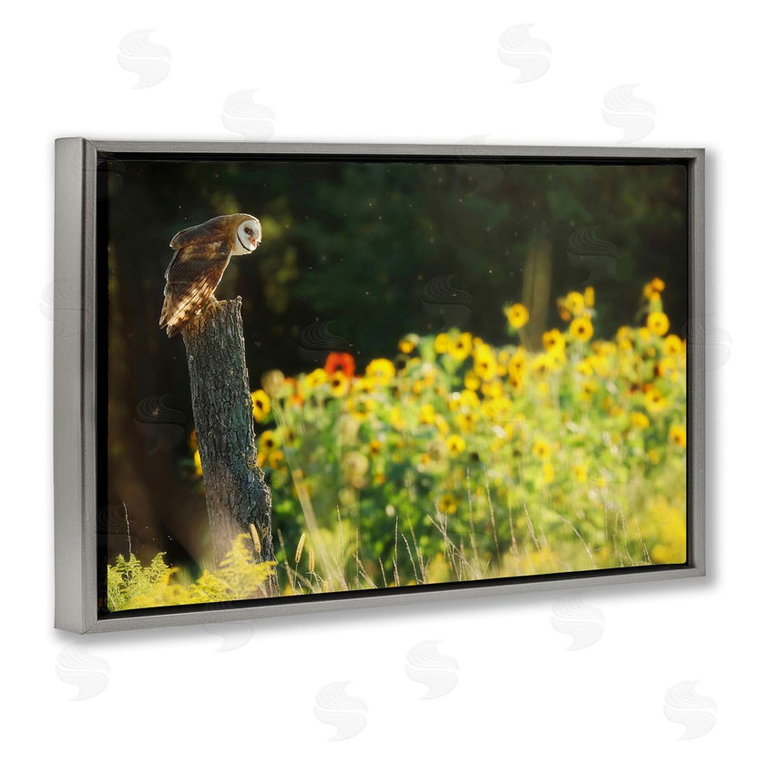 Carrie Ann Grippo-Pike | Owl Perched in Meadow
