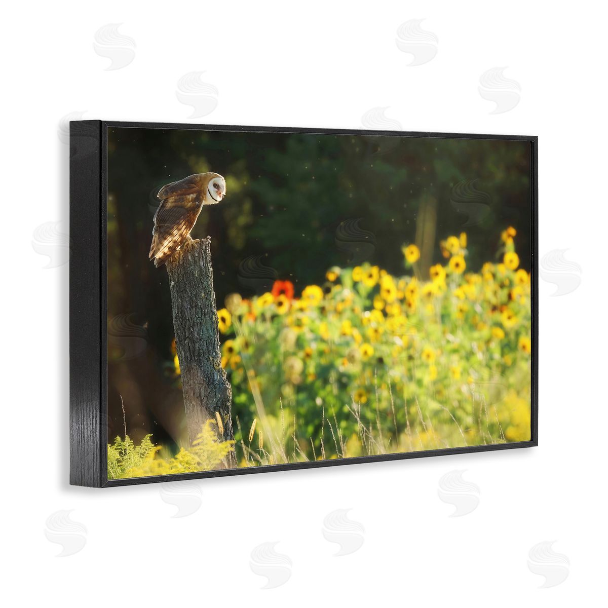 Owl Perched in Meadow Black Frame Print Wall Art, Home Decor by Carrie Ann Grippo-Pike