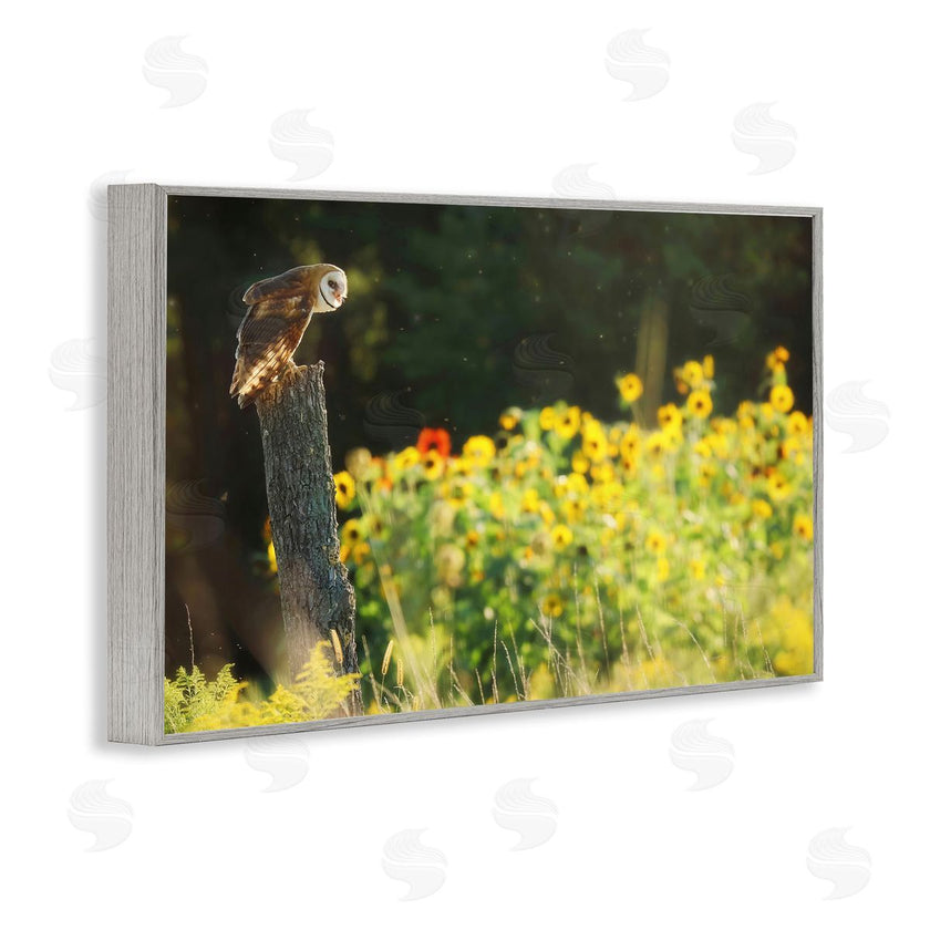 Carrie Ann Grippo-Pike | Owl Perched in Meadow