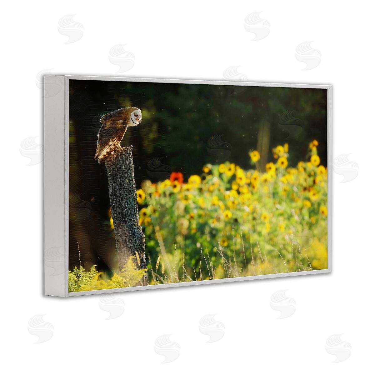 Owl Perched in Meadow White Frame Print Wall Art, Home Decor by Carrie Ann Grippo-Pike