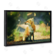 Carrie Ann Grippo-Pike | Fox Kit and Butterfly