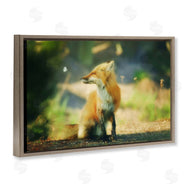 Carrie Ann Grippo-Pike | Fox Kit and Butterfly