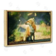 Carrie Ann Grippo-Pike | Fox Kit and Butterfly